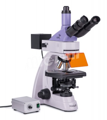 Микроскоп люминесцентный MAGUS Lum 400L (82905)