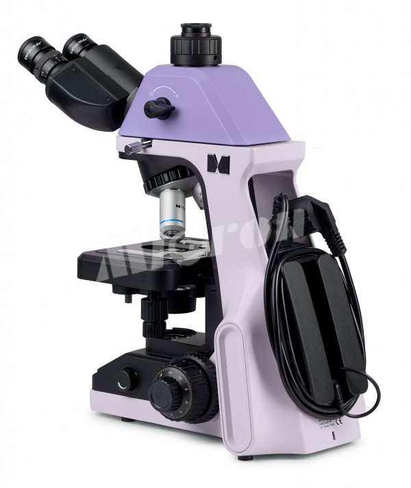 Микроскоп биологический MAGUS Bio 240T (83477)
