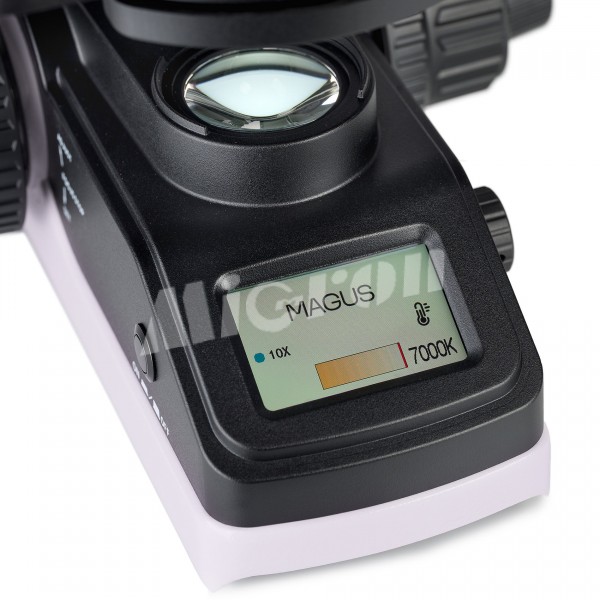 Микроскоп биологический MAGUS Bio 240B (83476)