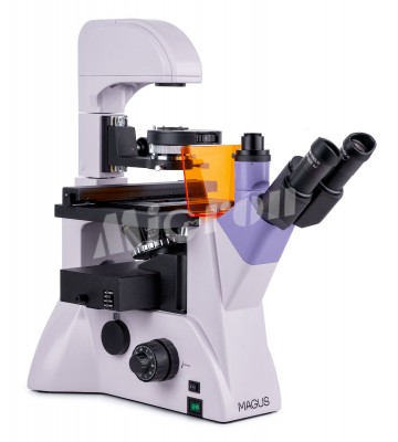 Микроскоп люминесцентный инвертированный MAGUS Lum V500L (82909)