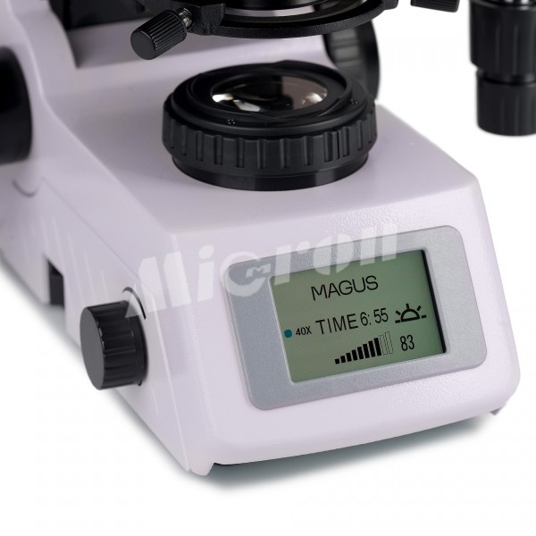 Микроскоп люминесцентный MAGUS Lum 450L (83484)