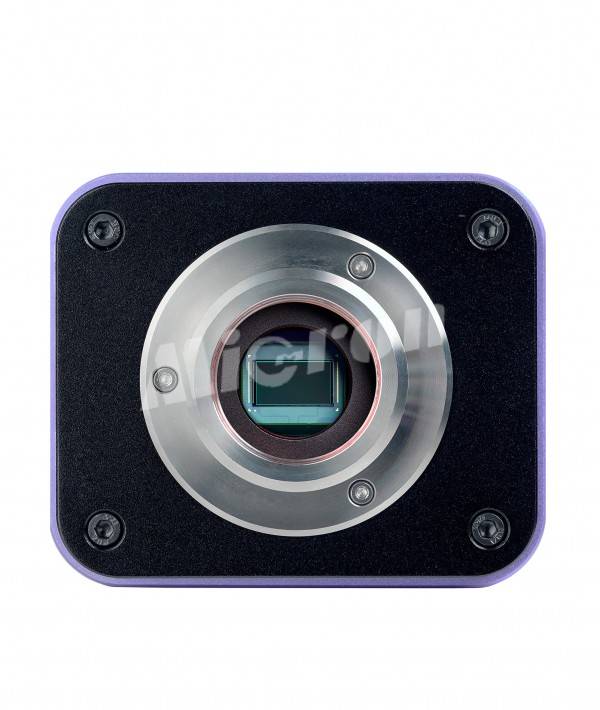 Микроскоп люминесцентный цифровой MAGUS Lum D400L LCD (83019)