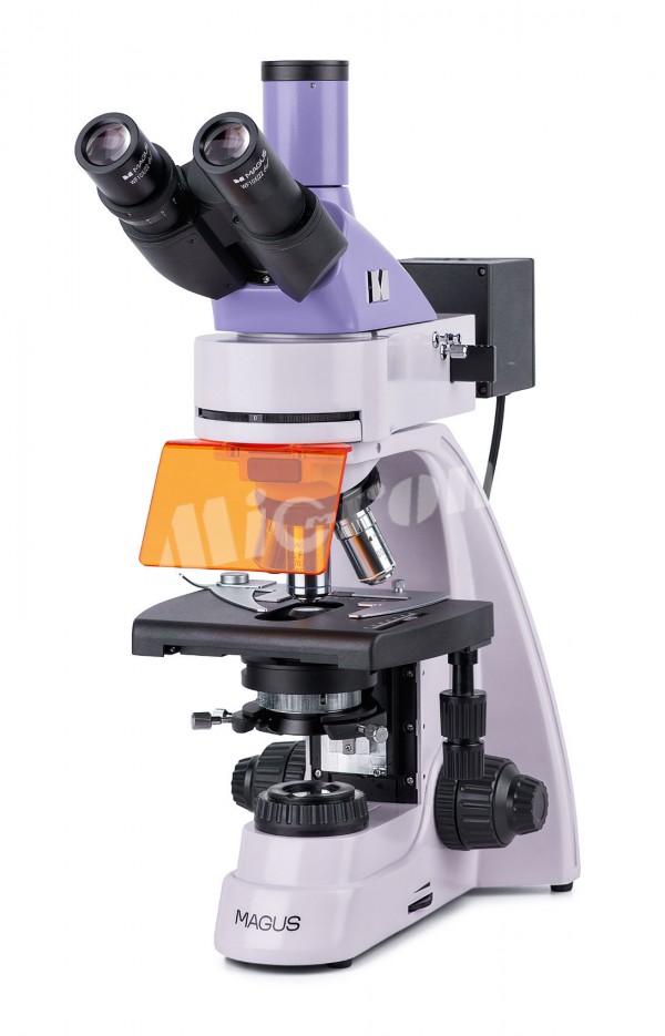 Микроскоп люминесцентный MAGUS Lum 400L (82905)