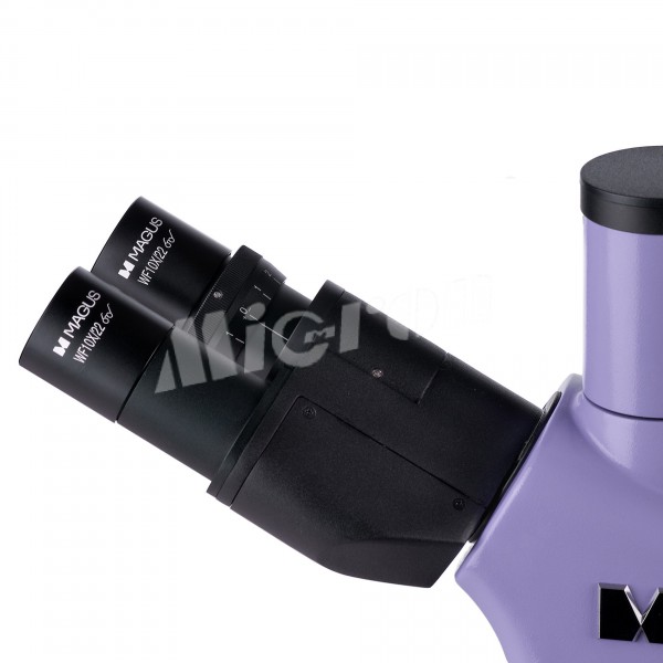 Микроскоп люминесцентный MAGUS Lum 400L (82905)