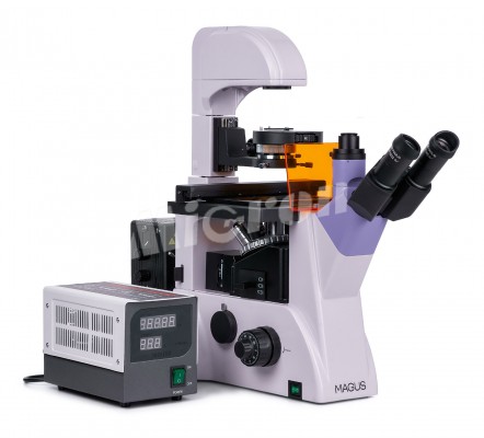 Микроскоп люминесцентный инвертированный MAGUS Lum V500 (82908)
