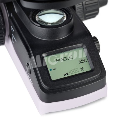 Микроскоп биологический MAGUS Bio 240B (83476)