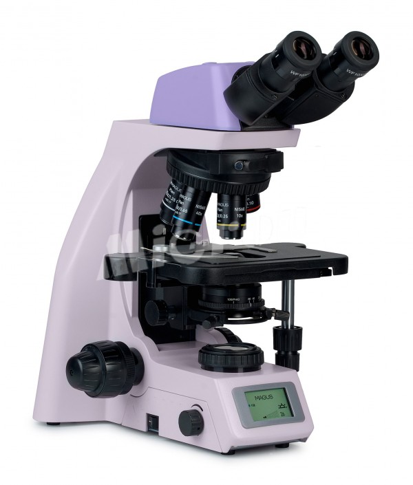 Микроскоп биологический цифровой MAGUS Bio DH260 (83480)