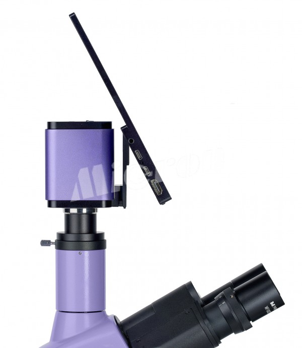Микроскоп люминесцентный цифровой MAGUS Lum D400L LCD (83019)