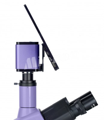 Микроскоп люминесцентный цифровой MAGUS Lum D400L LCD (83019)