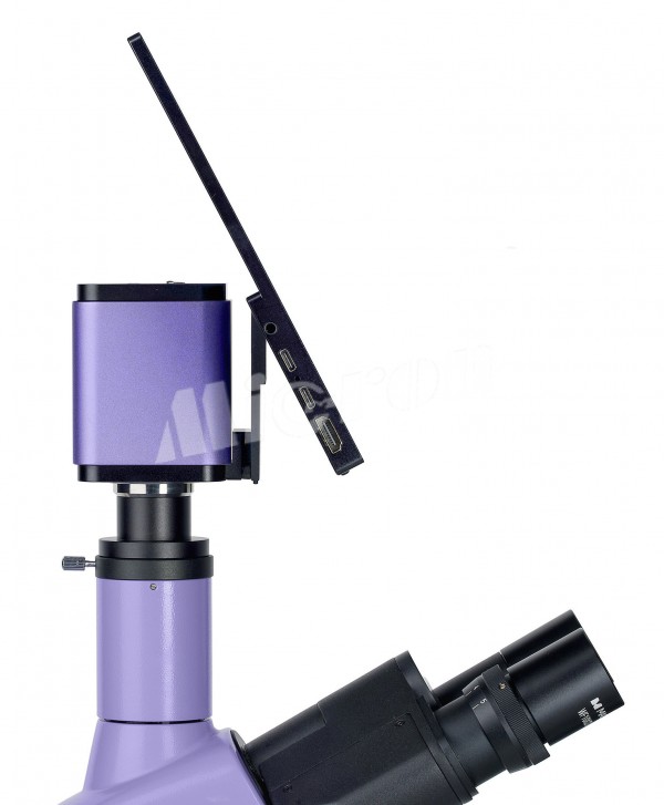Микроскоп люминесцентный цифровой MAGUS Lum D400 LCD (83017)