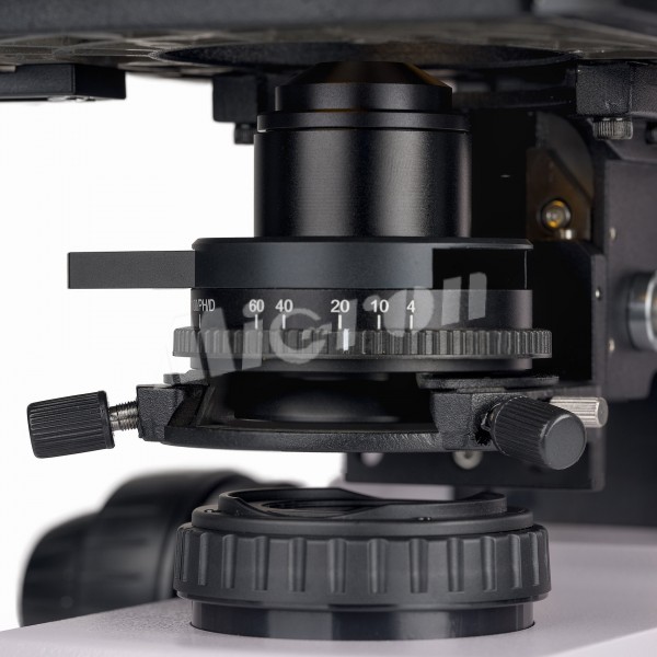Микроскоп биологический цифровой MAGUS Bio DH260 (83480)