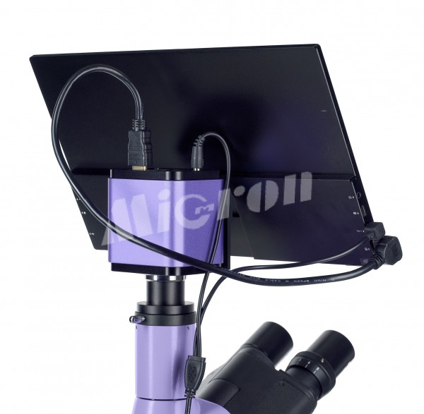 Микроскоп люминесцентный цифровой MAGUS Lum D400 LCD (83017)
