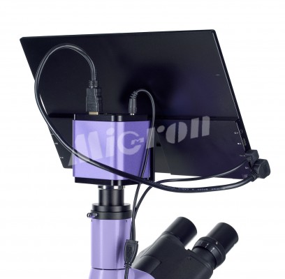 Микроскоп люминесцентный цифровой MAGUS Lum D400 LCD (83017)