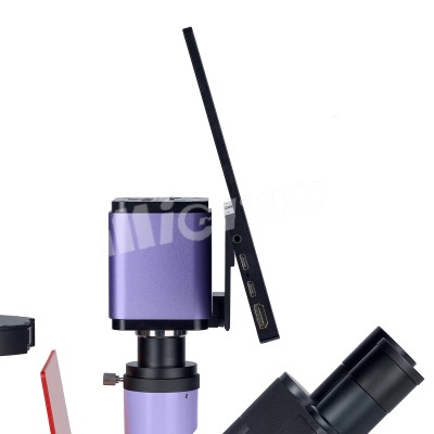 Микроскоп люминесцентный инвертированный цифровой MAGUS Lum VD500 LCD (83021)