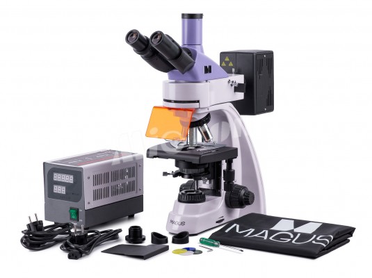 Микроскоп люминесцентный цифровой MAGUS Lum D400 LCD (83017)