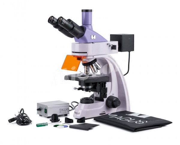 Микроскоп люминесцентный MAGUS Lum 400L (82905)