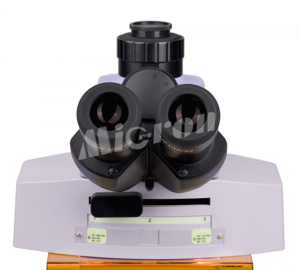 Микроскоп люминесцентный MAGUS Lum 450L (83484)