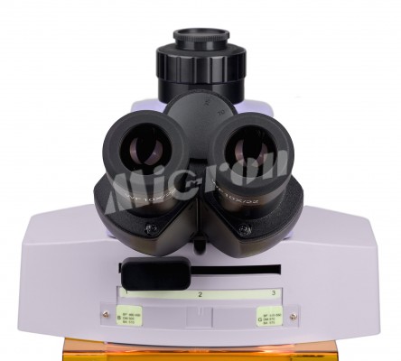 Микроскоп люминесцентный MAGUS Lum 450L (83484)