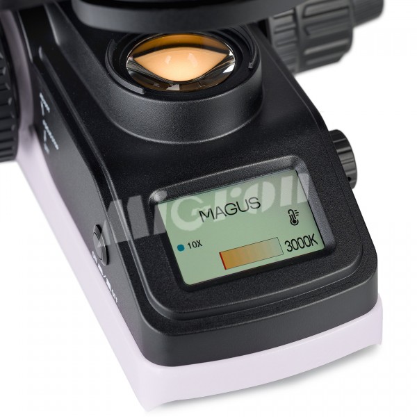 Микроскоп биологический MAGUS Bio 240B (83476)
