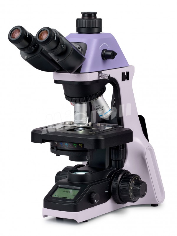 Микроскоп биологический MAGUS Bio 240T (83477)