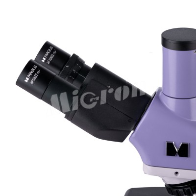 Микроскоп биологический цифровой MAGUS Bio D250TL LCD (83011)