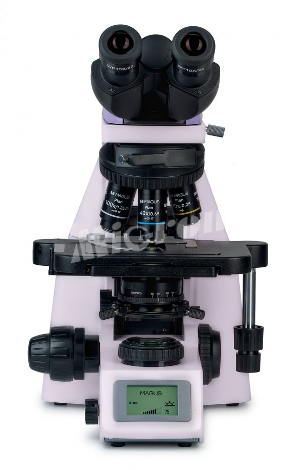 Микроскоп биологический цифровой MAGUS Bio DH260 (83480)
