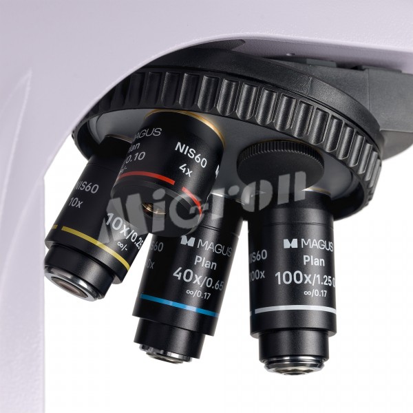 Микроскоп люминесцентный MAGUS Lum 450L (83484)