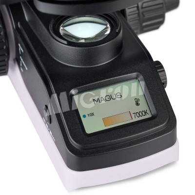 Микроскоп биологический цифровой MAGUS Bio DH240 (83478)