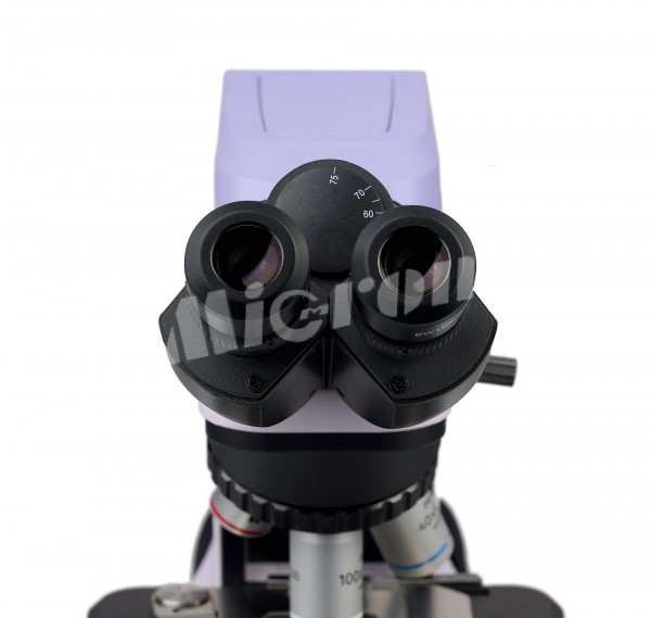 Микроскоп биологический цифровой MAGUS Bio DH240 (83478)