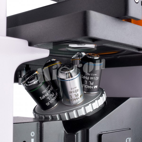 Микроскоп люминесцентный инвертированный цифровой MAGUS Lum VD500 LCD (83021)
